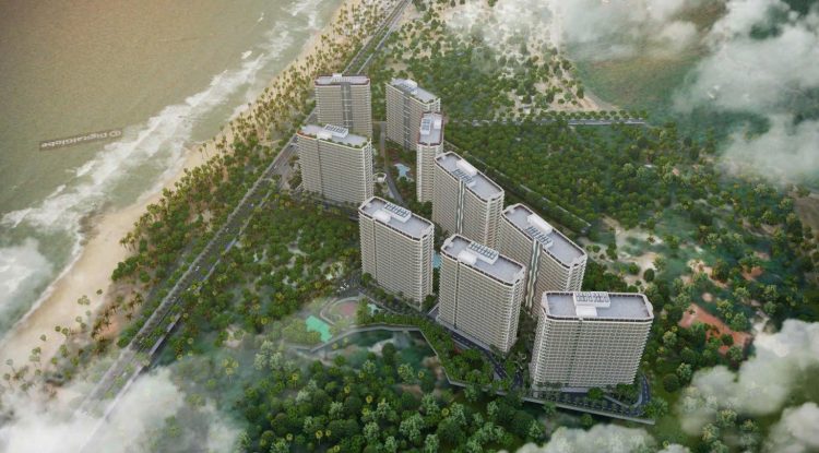 Quay Complex